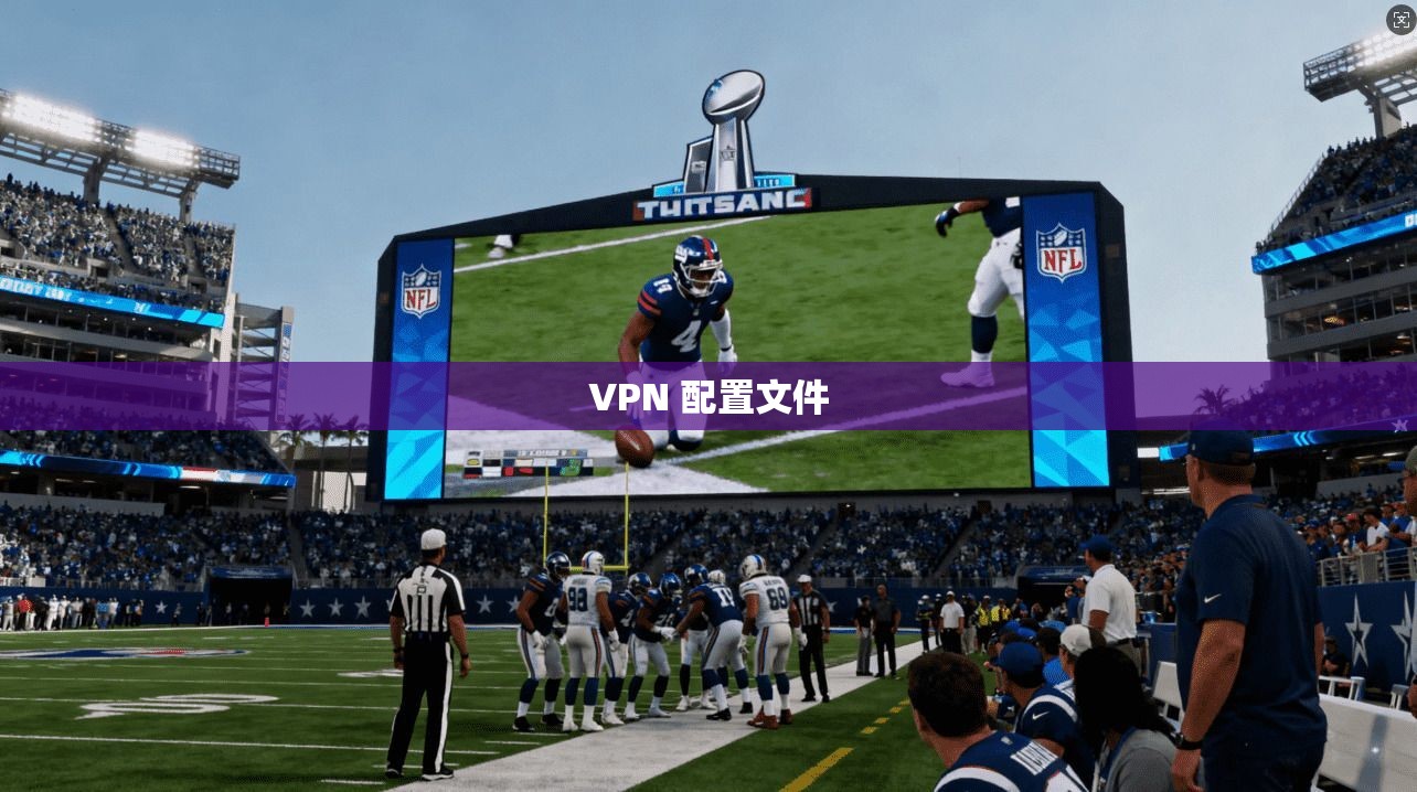 VPN 配置文件
