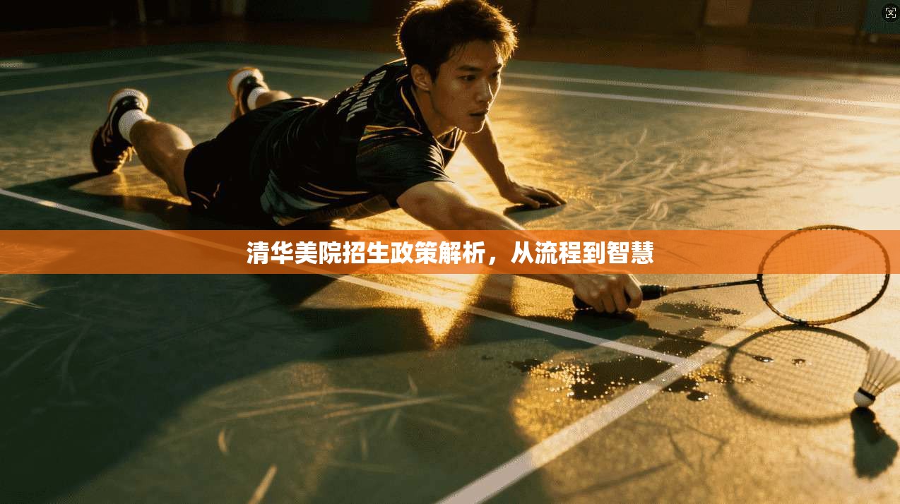 清华美院招生政策解析，从流程到智慧