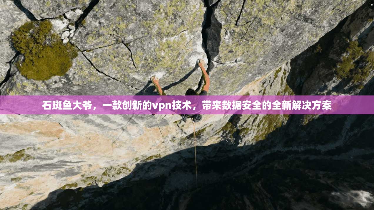 石斑鱼大爷，一款创新的vpn技术，带来数据安全的全新解决方案