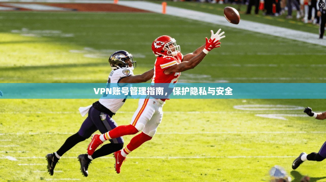 VPN账号管理指南，保护隐私与安全