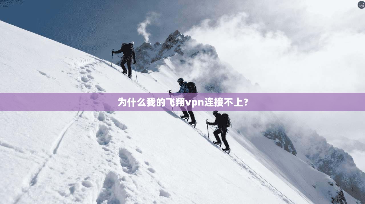 为什么我的飞翔vpn连接不上？