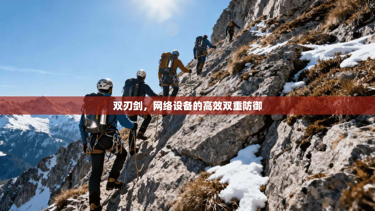 双刃剑，网络设备的高效双重防御