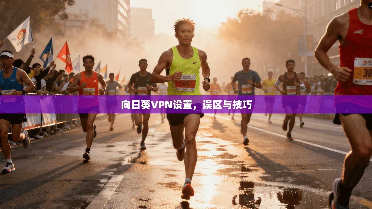 向日葵VPN设置，误区与技巧