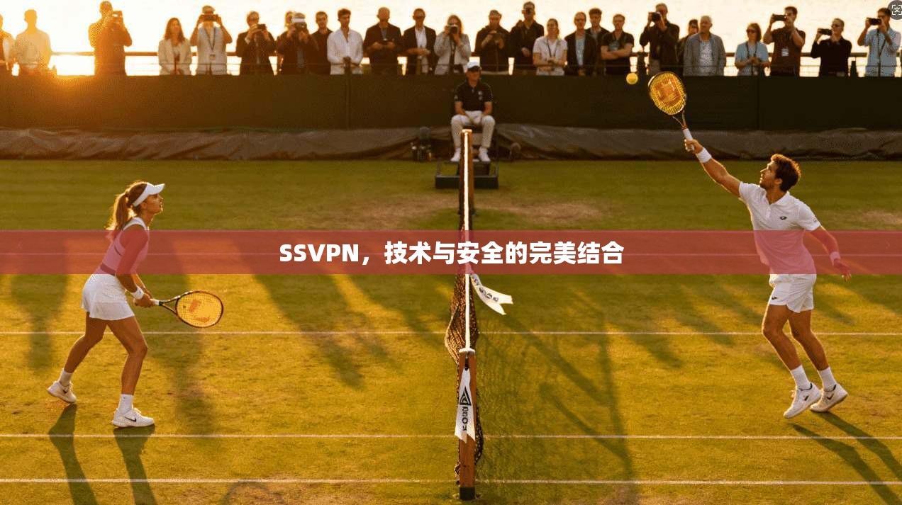 SSVPN，技术与安全的完美结合