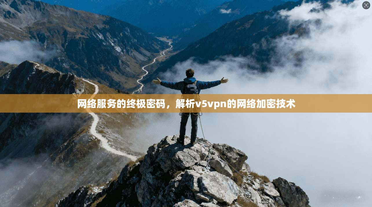 网络服务的终极密码，解析v5vpn的网络加密技术