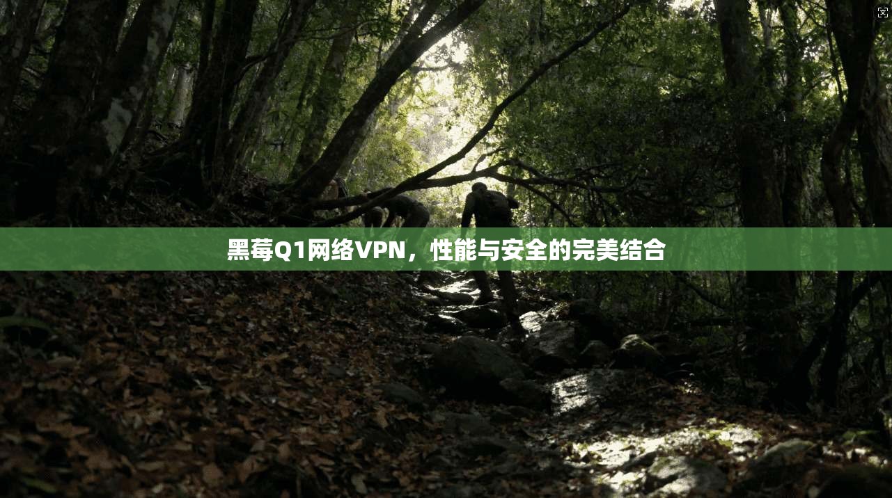 黑莓Q1网络VPN，性能与安全的完美结合