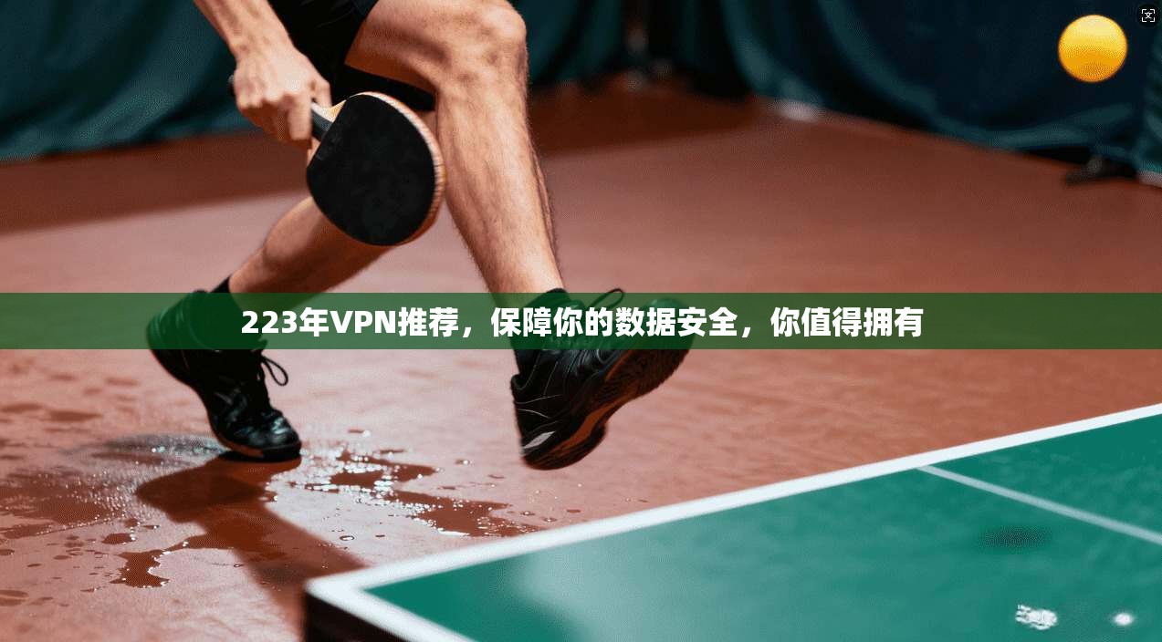 223年VPN推荐，保障你的数据安全，你值得拥有