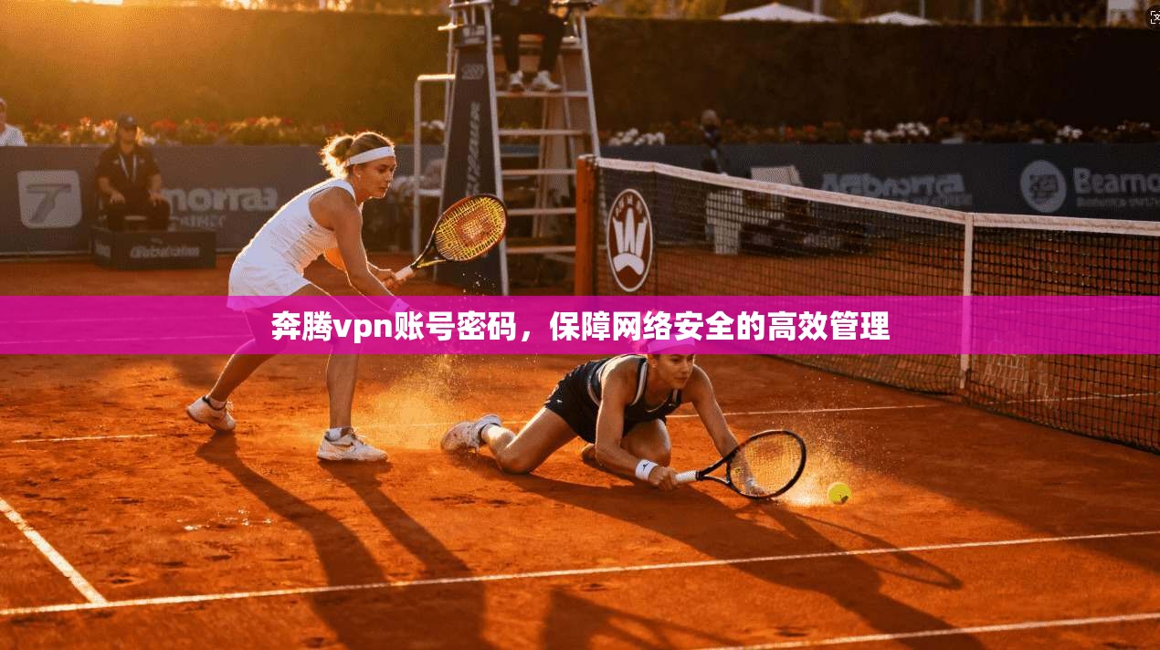 奔腾vpn账号密码，保障网络安全的高效管理