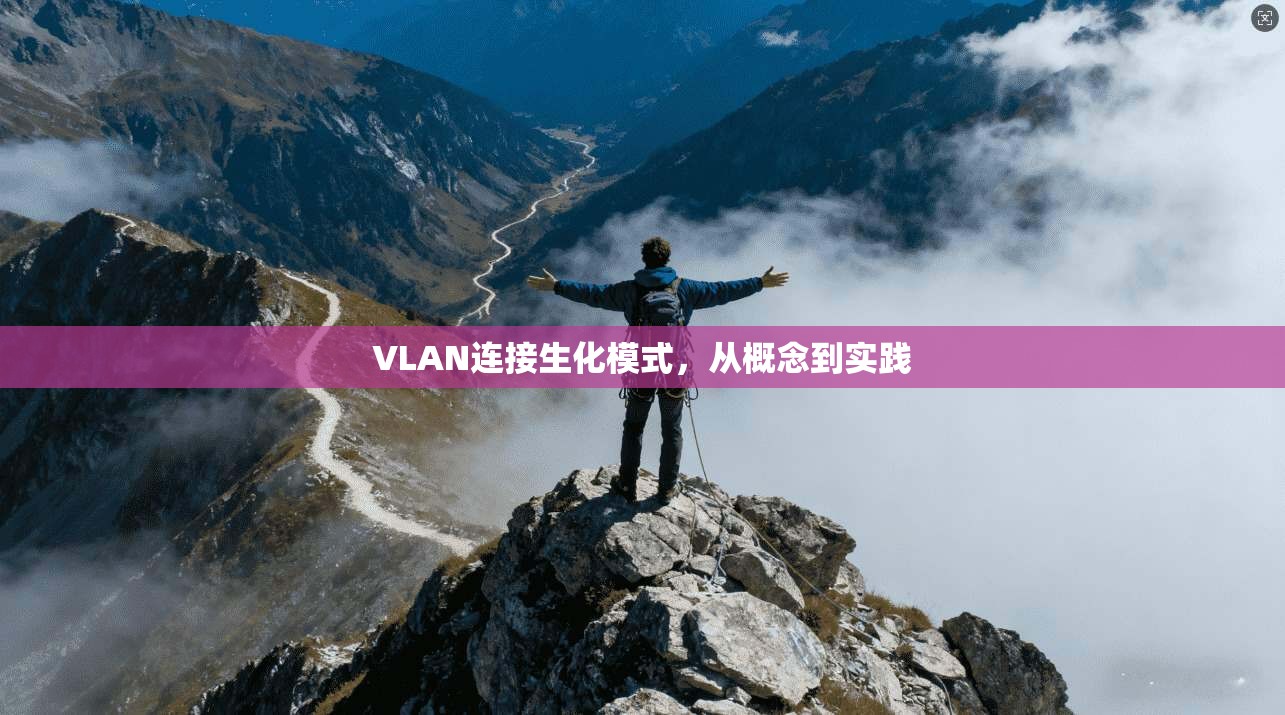VLAN连接生化模式，从概念到实践