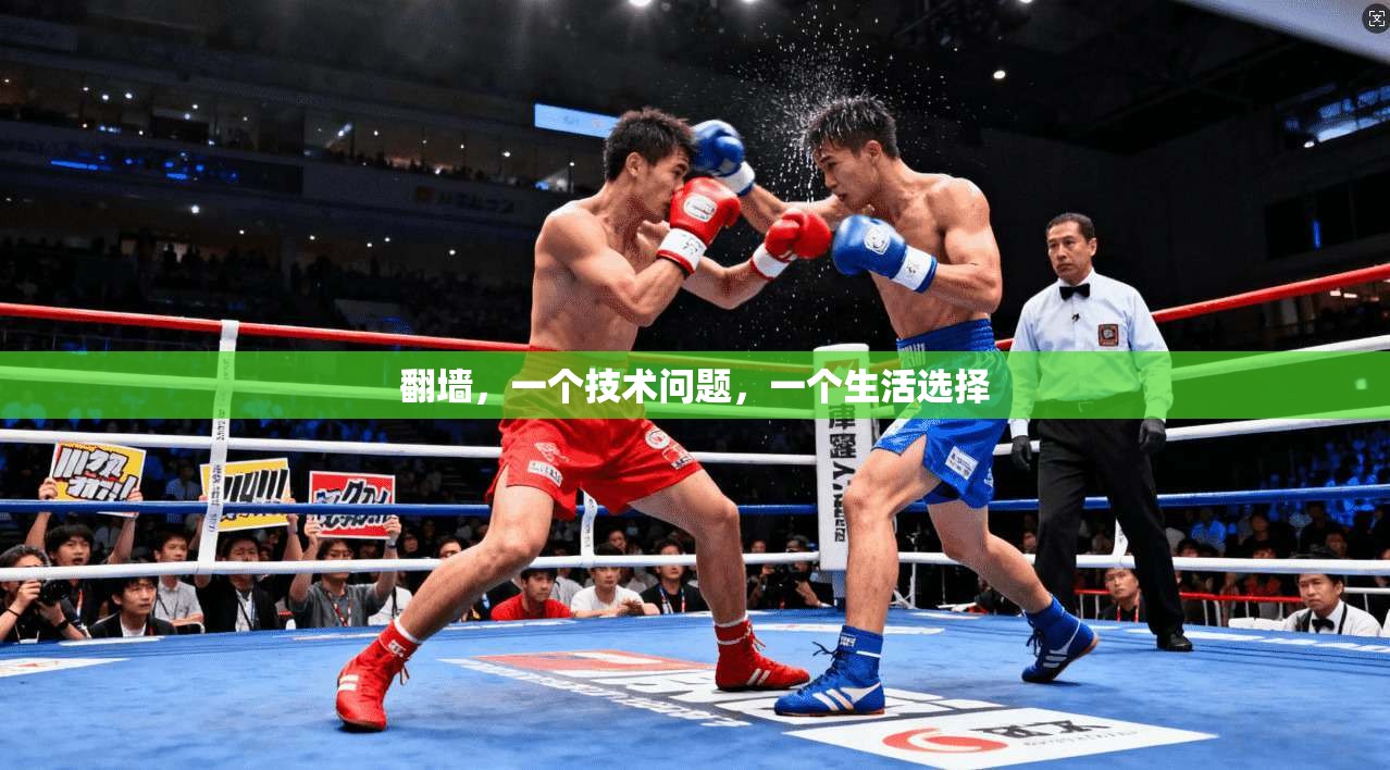 翻墙，一个技术问题，一个生活选择