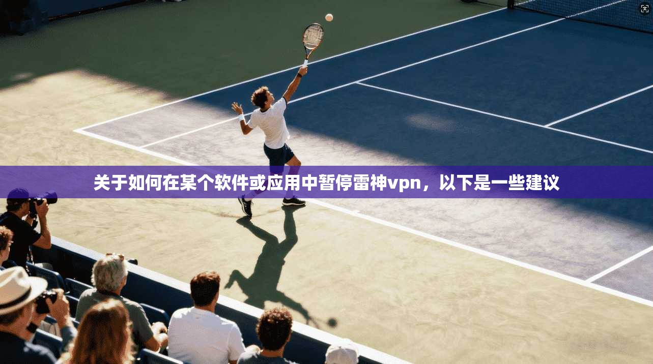 关于如何在某个软件或应用中暂停雷神vpn，以下是一些建议