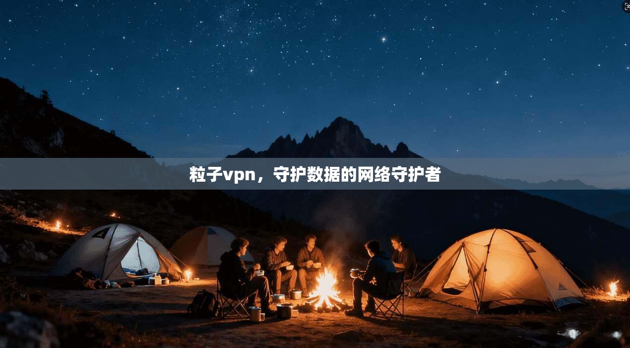 粒子vpn，守护数据的网络守护者