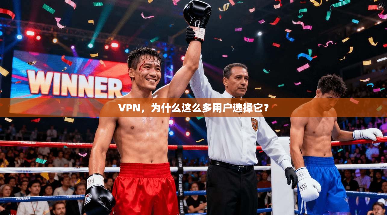 VPN，为什么这么多用户选择它？