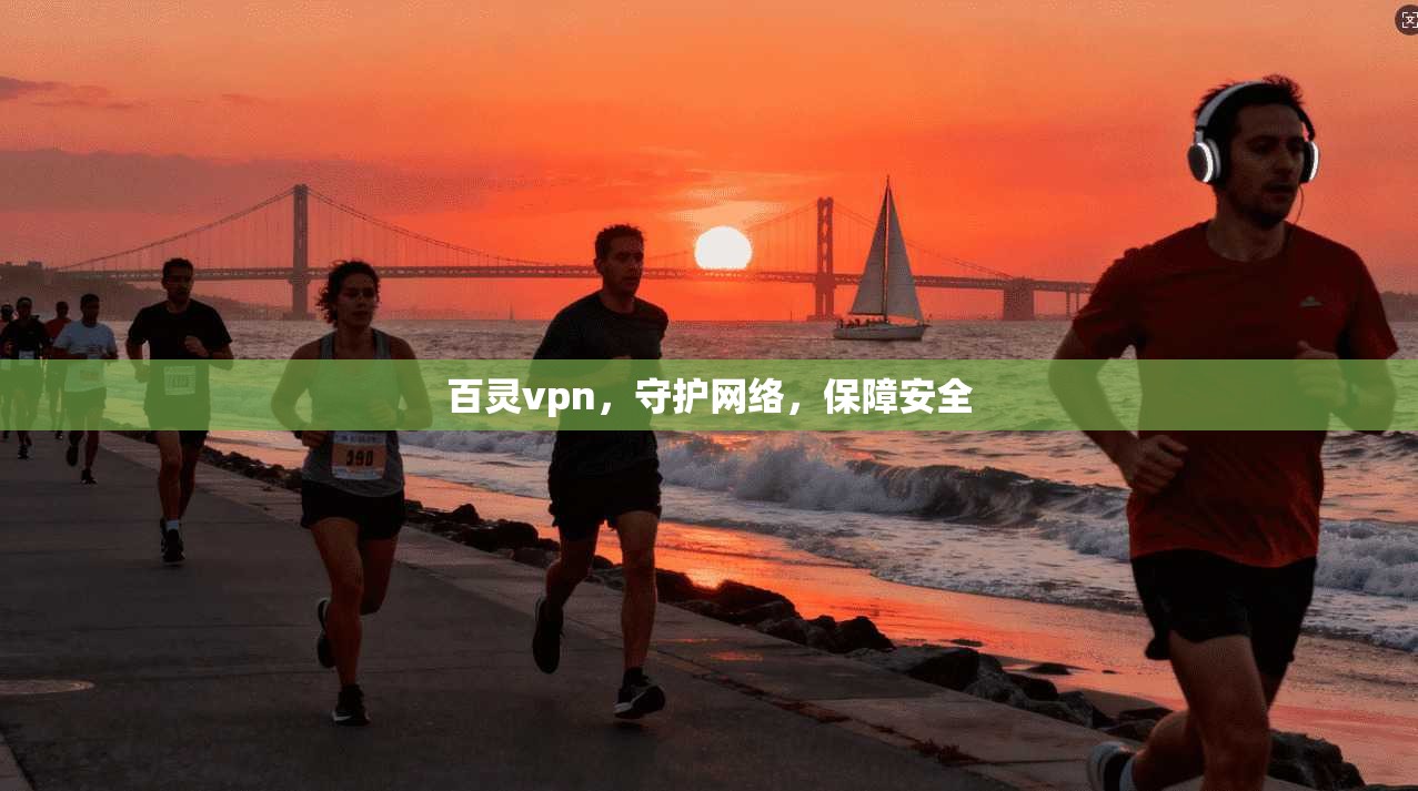 百灵vpn，守护网络，保障安全