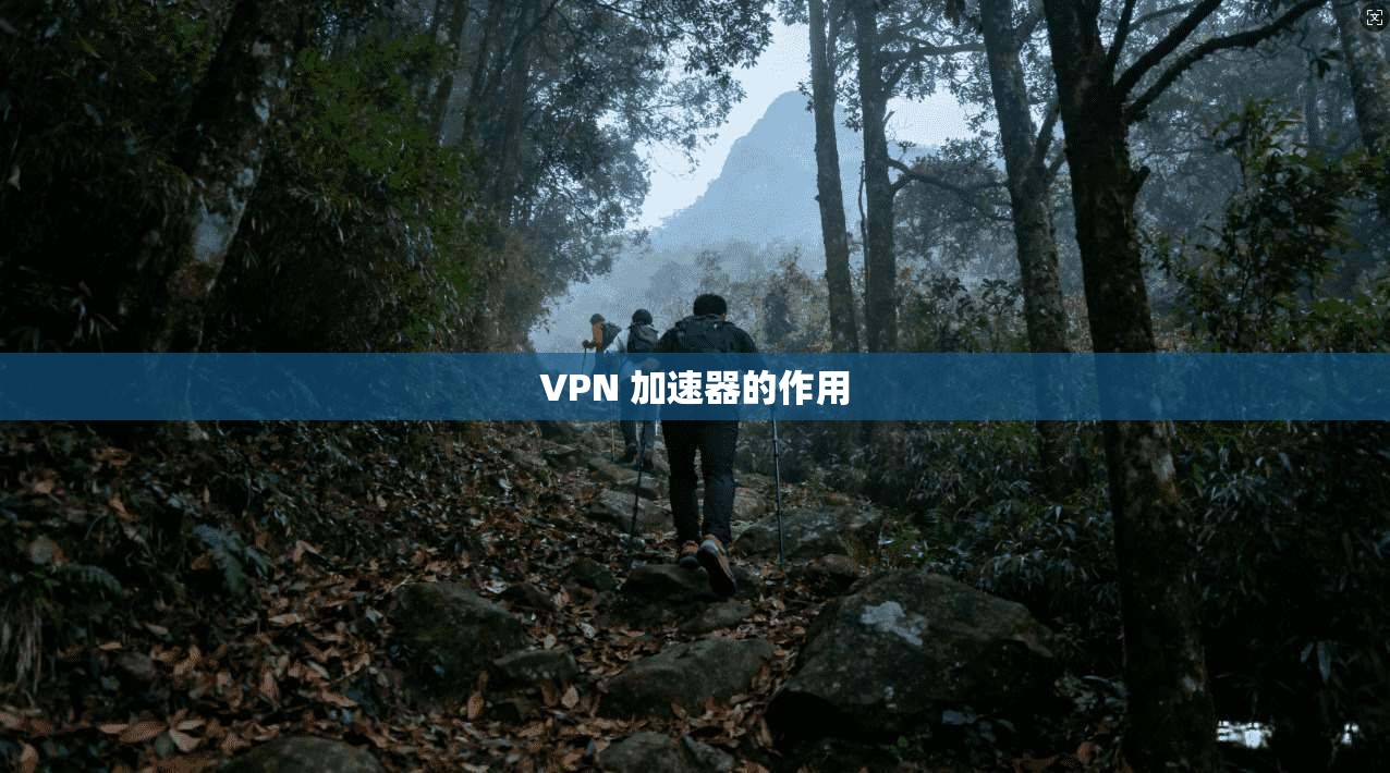 VPN 加速器的作用
