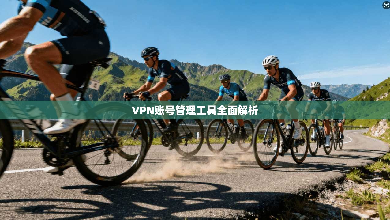 VPN账号管理工具全面解析