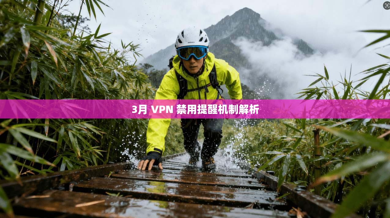 3月 VPN 禁用提醒机制解析