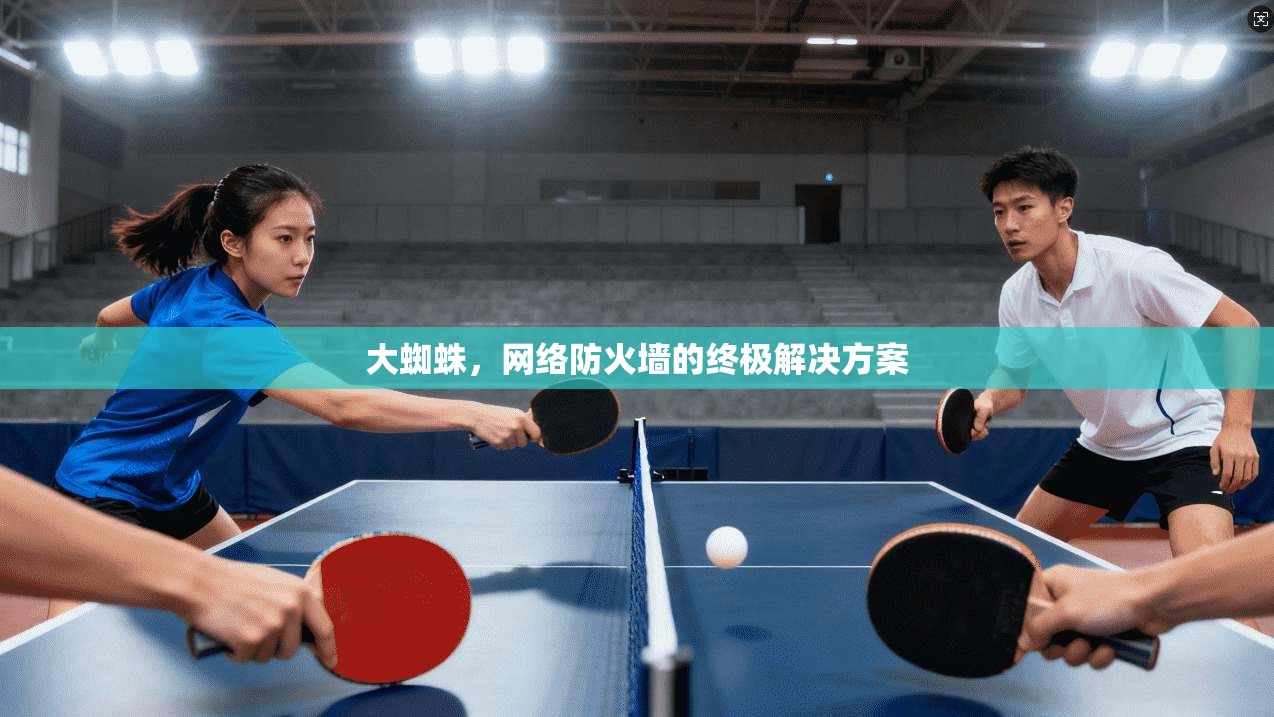 大蜘蛛，网络防火墙的终极解决方案