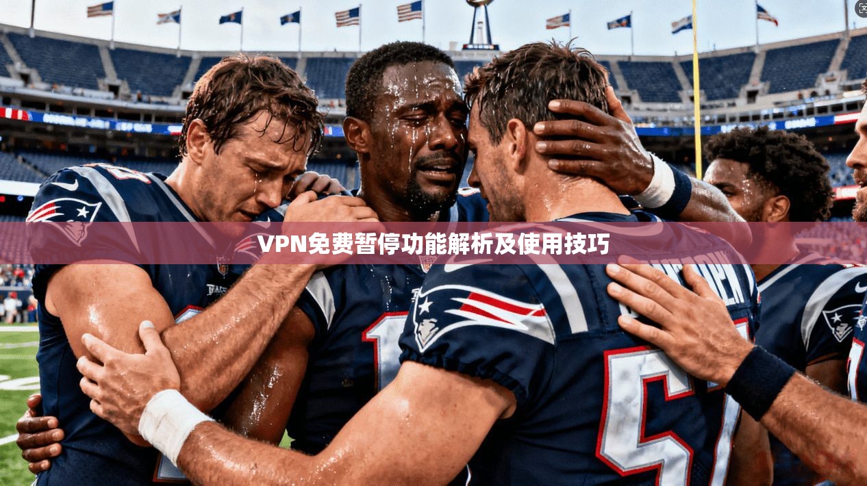 VPN免费暂停功能解析及使用技巧