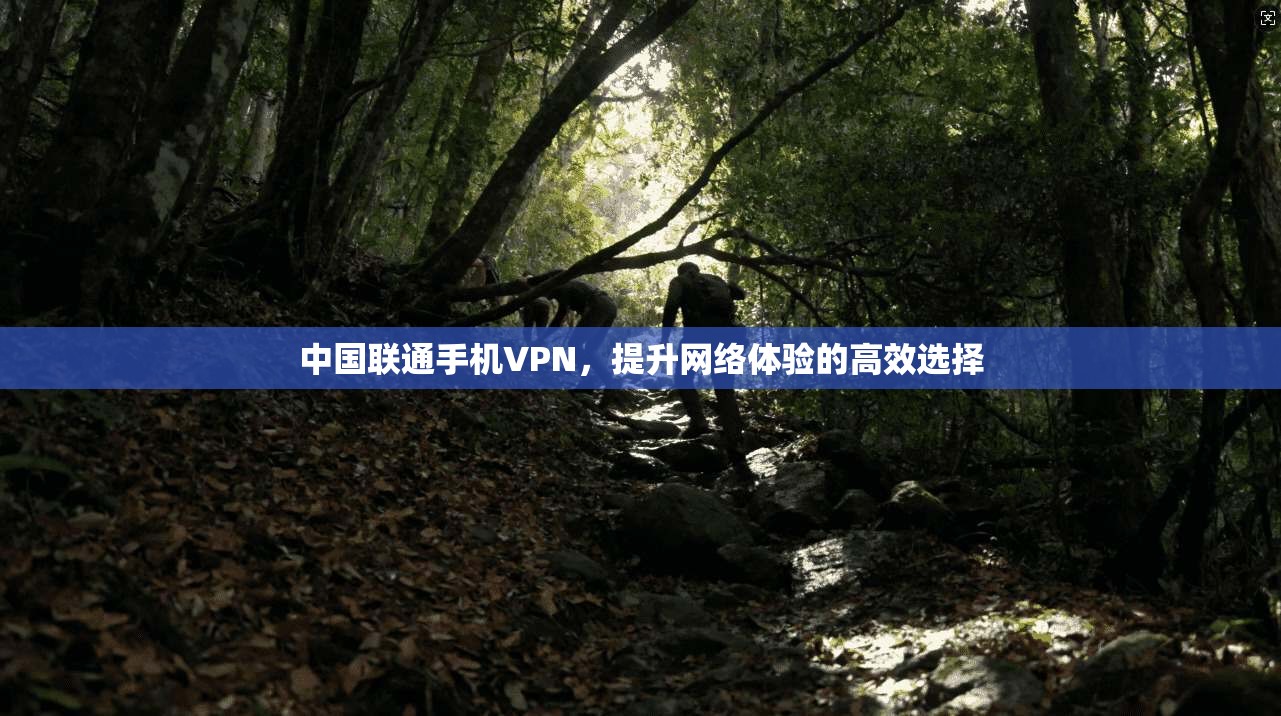 中国联通手机VPN，提升网络体验的高效选择