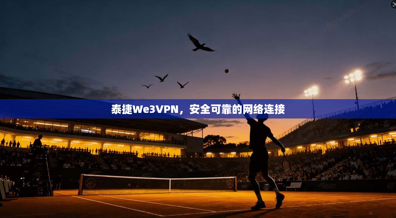 泰捷We3VPN，安全可靠的网络连接