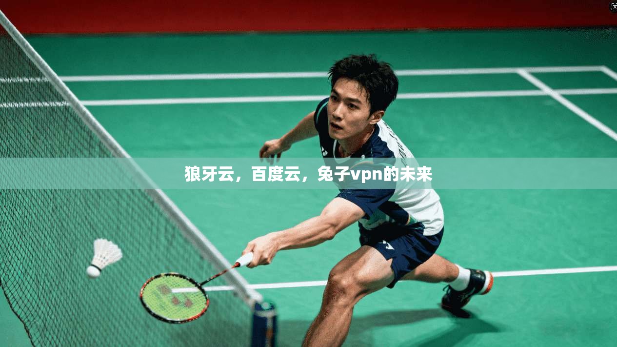狼牙云，百度云，兔子vpn的未来