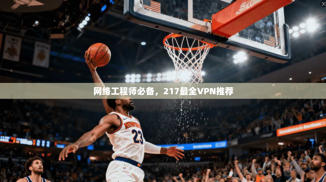网络工程师必备，217最全VPN推荐