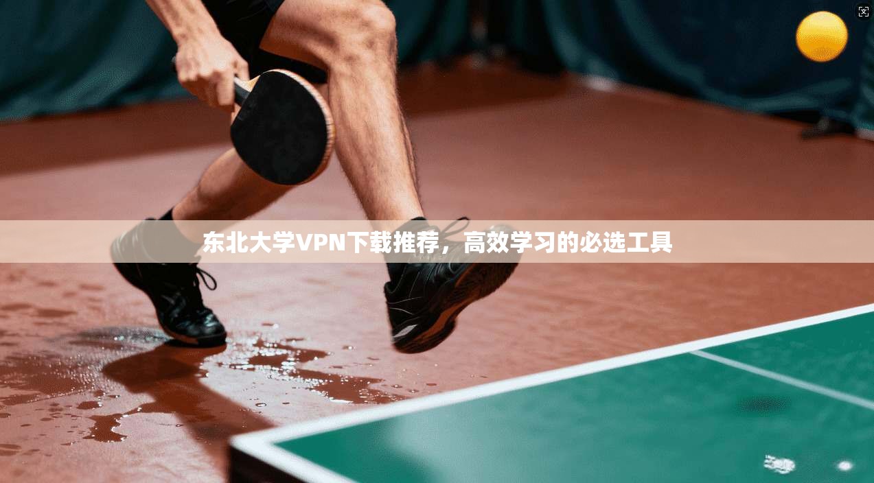 东北大学VPN下载推荐，高效学习的必选工具