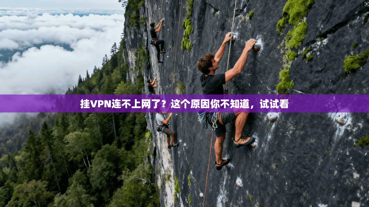 挂VPN连不上网了？这个原因你不知道，试试看