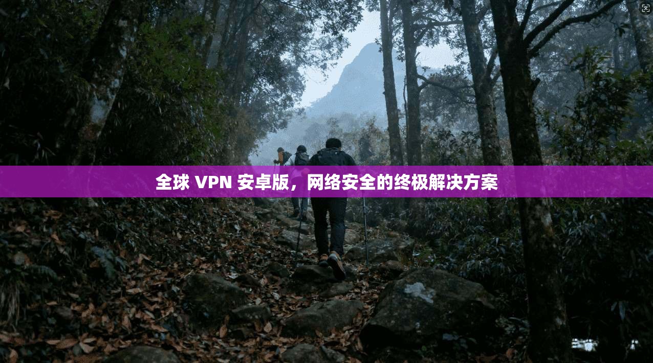 全球 VPN 安卓版，网络安全的终极解决方案