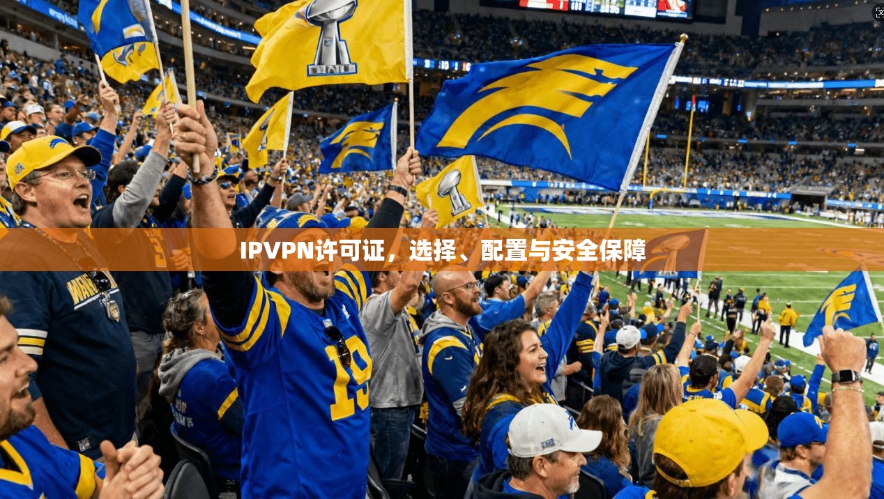 IPVPN许可证，选择、配置与安全保障