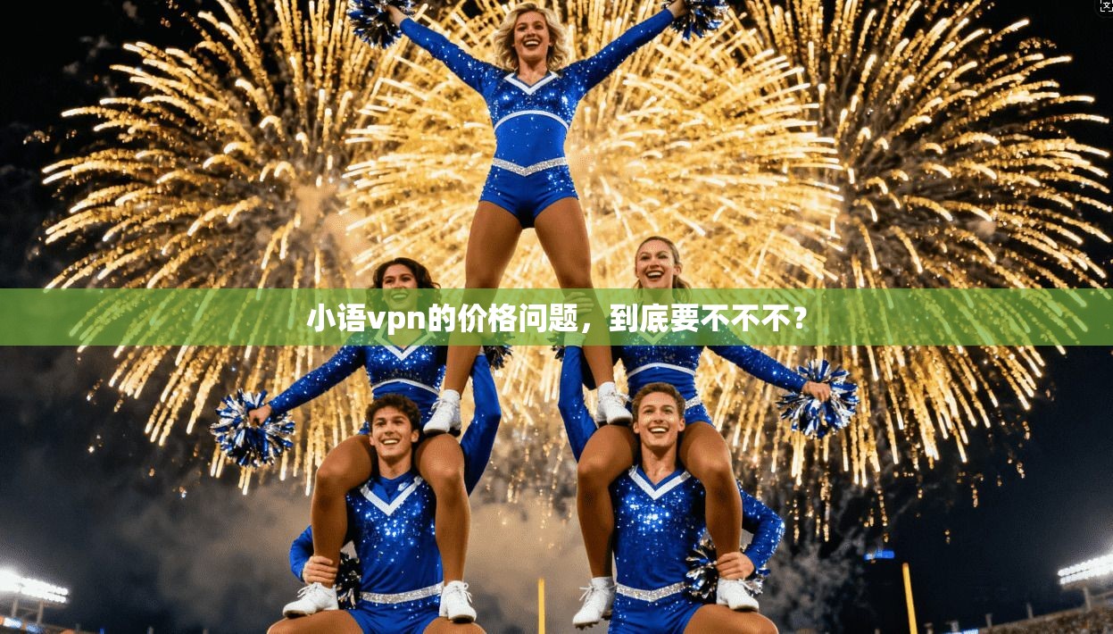 小语vpn的价格问题，到底要不不不？