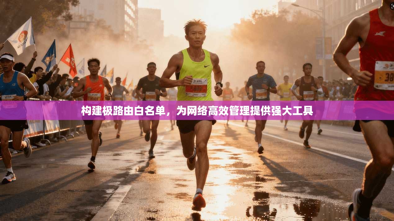 构建极路由白名单，为网络高效管理提供强大工具