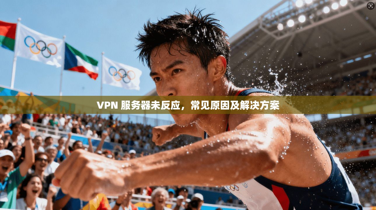 VPN 服务器未反应，常见原因及解决方案