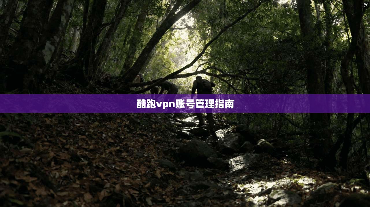 酷跑vpn账号管理指南