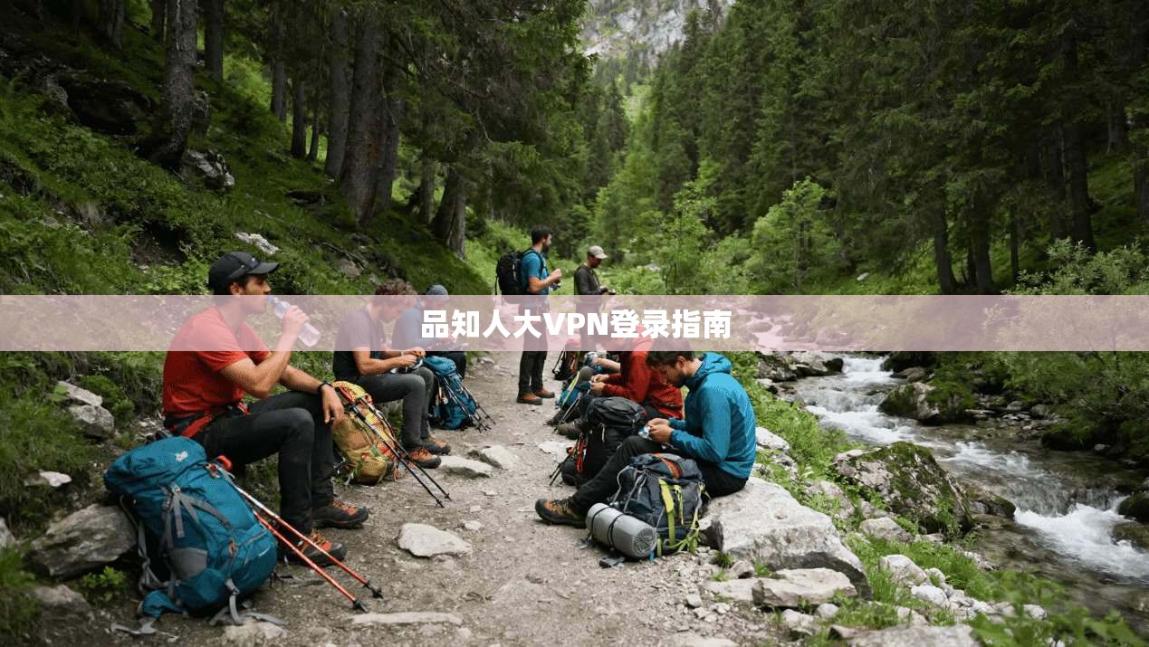 品知人大VPN登录指南