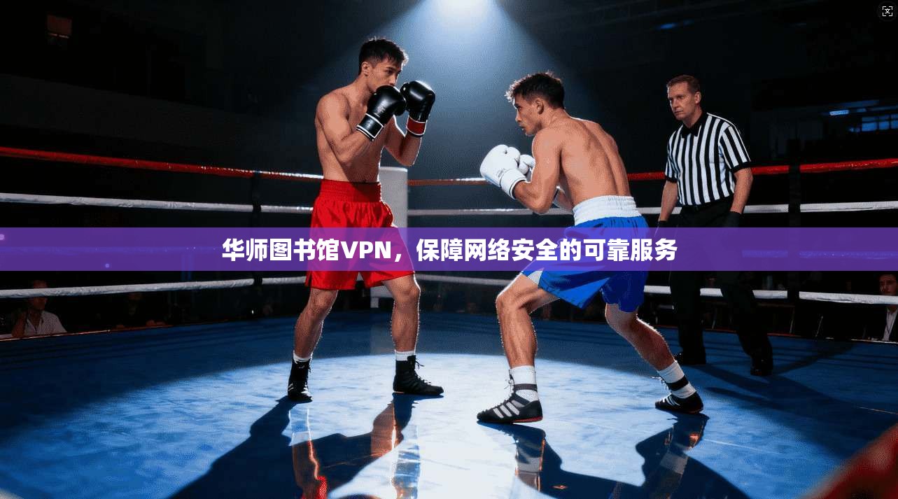 华师图书馆VPN，保障网络安全的可靠服务