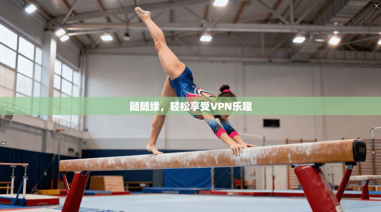 随随缘，轻松享受VPN乐趣