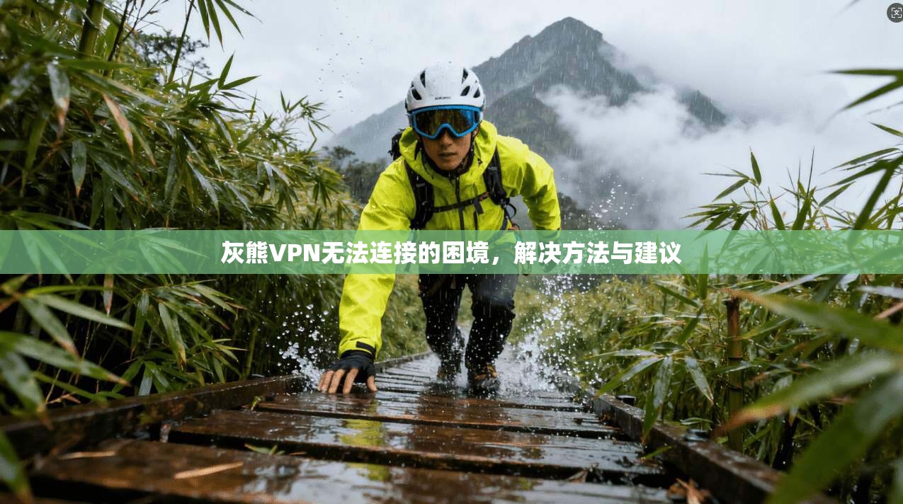 灰熊VPN无法连接的困境，解决方法与建议