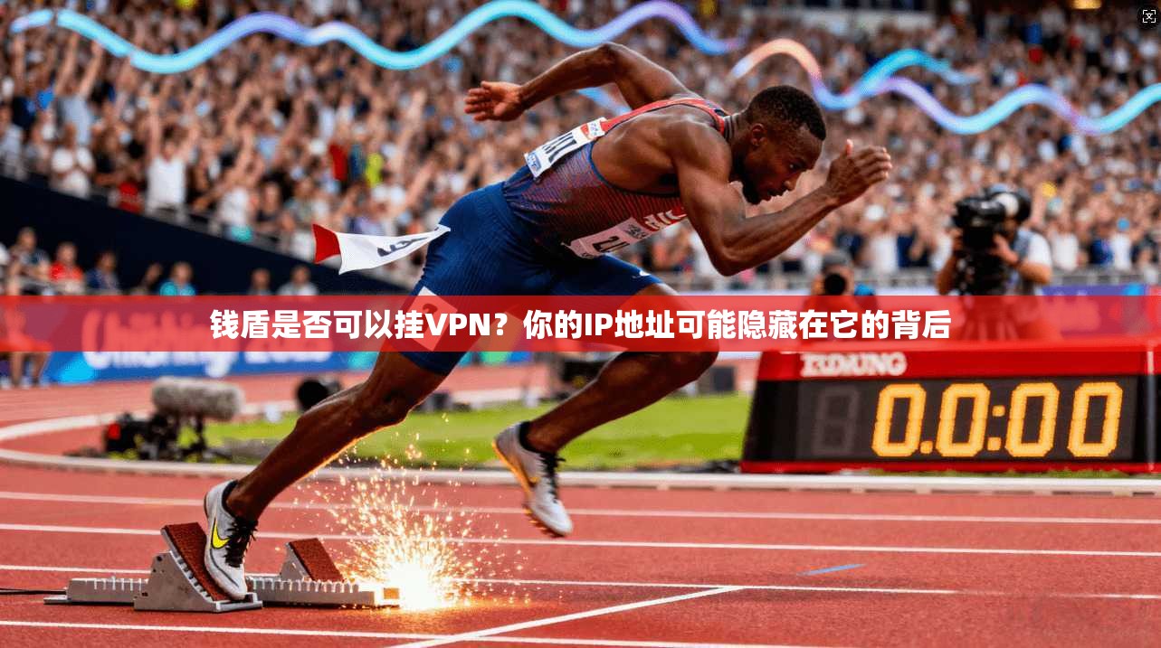 钱盾是否可以挂VPN？你的IP地址可能隐藏在它的背后