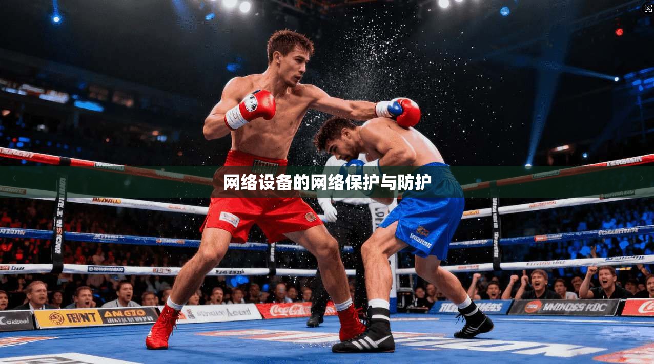 网络设备的网络保护与防护