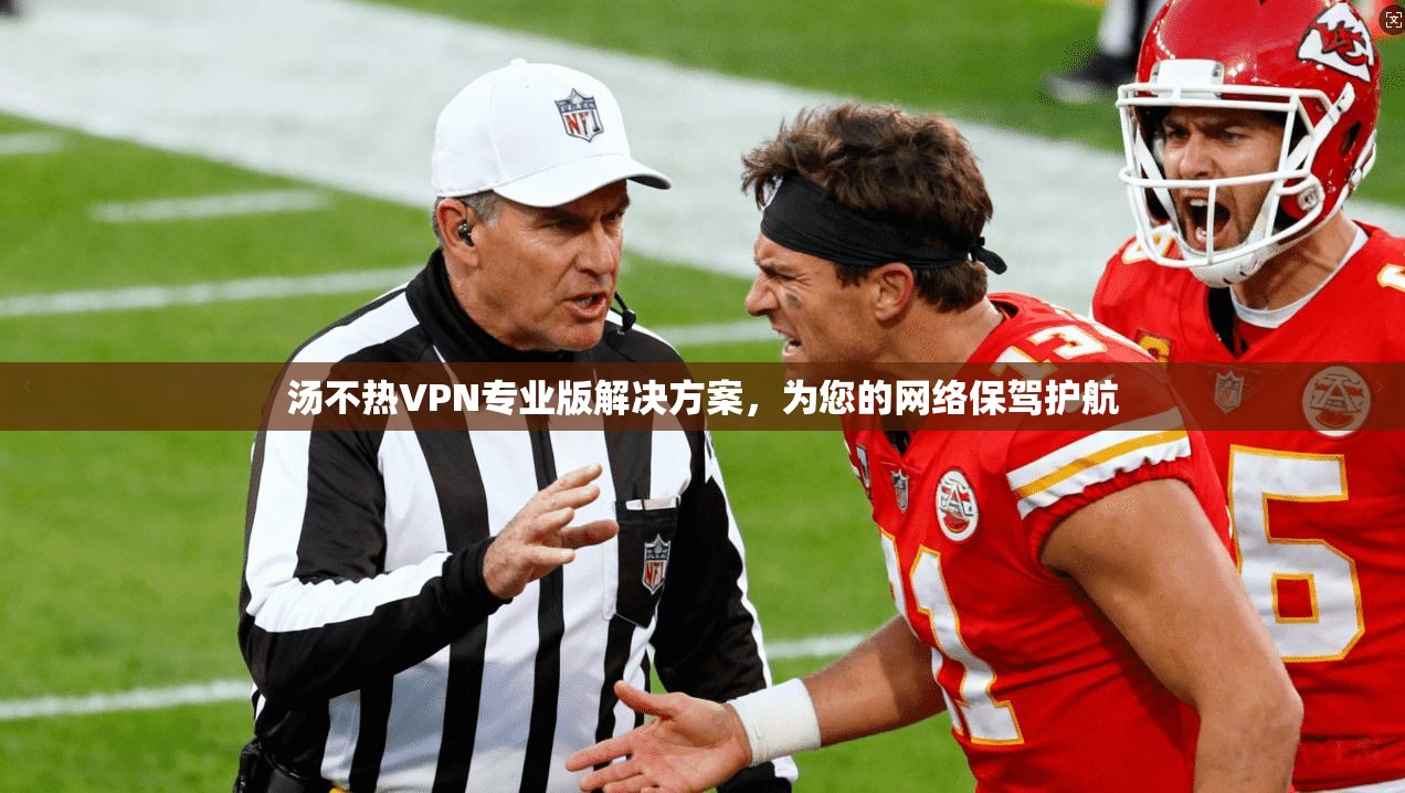 汤不热VPN专业版解决方案，为您的网络保驾护航