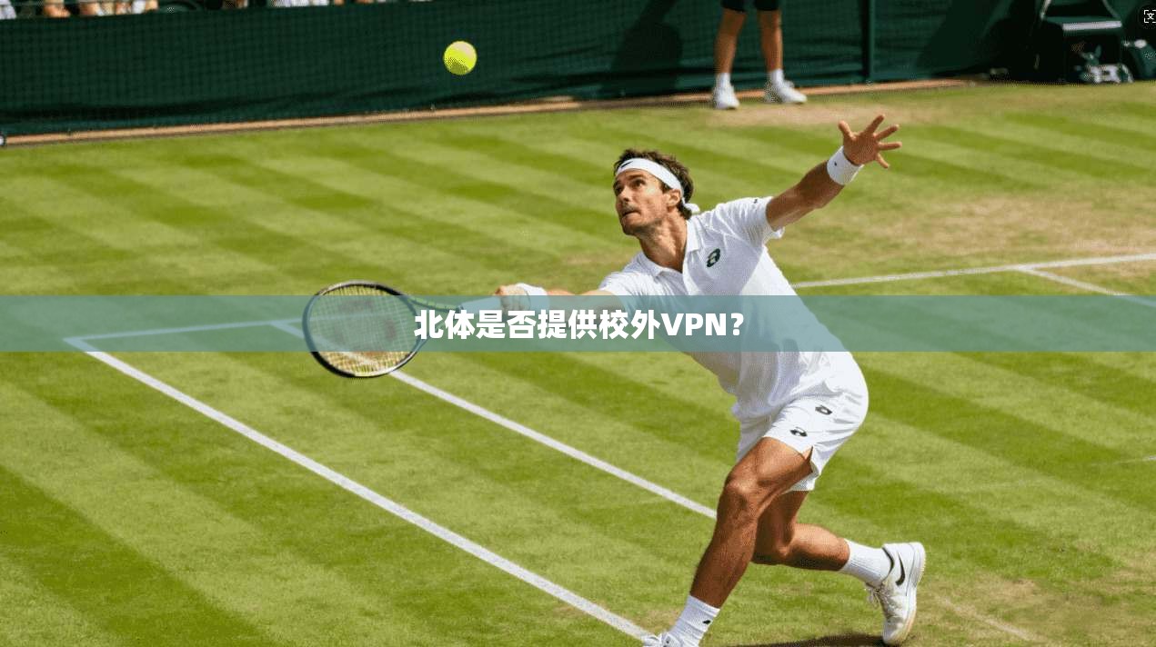 北体是否提供校外VPN？