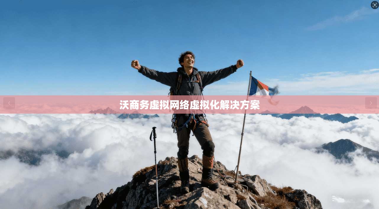 沃商务虚拟网络虚拟化解决方案
