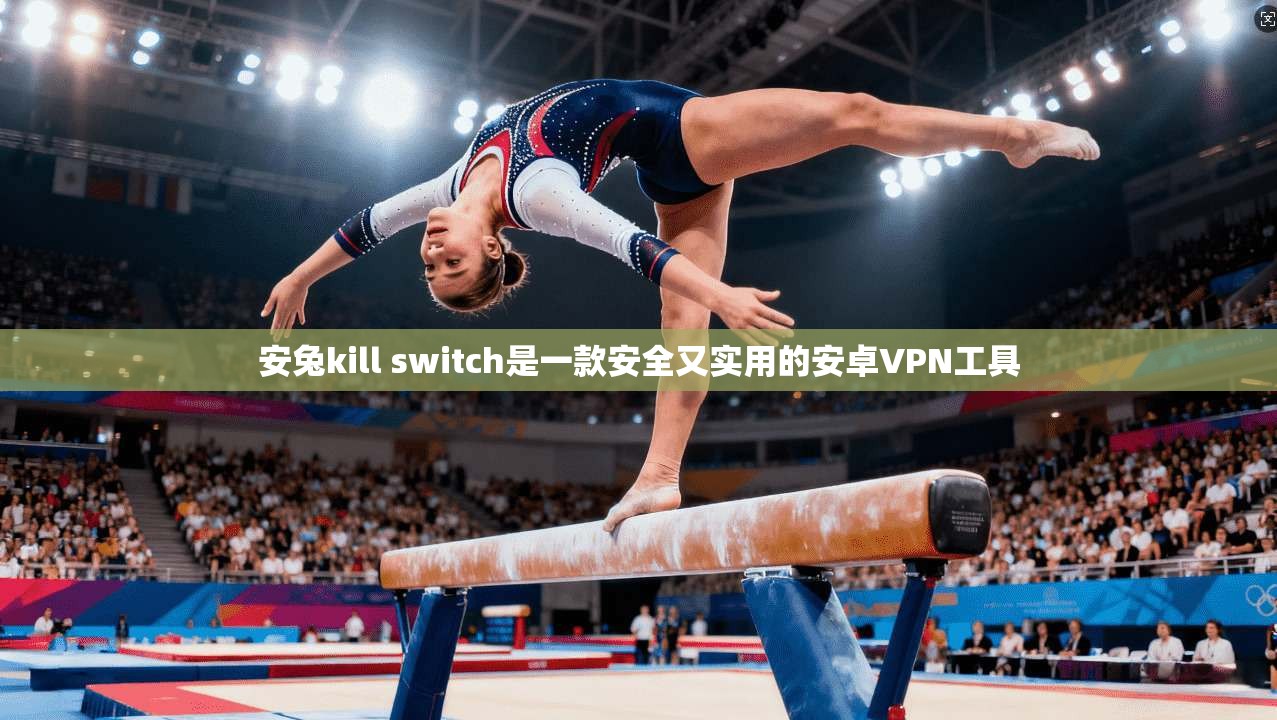 安兔kill switch是一款安全又实用的安卓VPN工具
