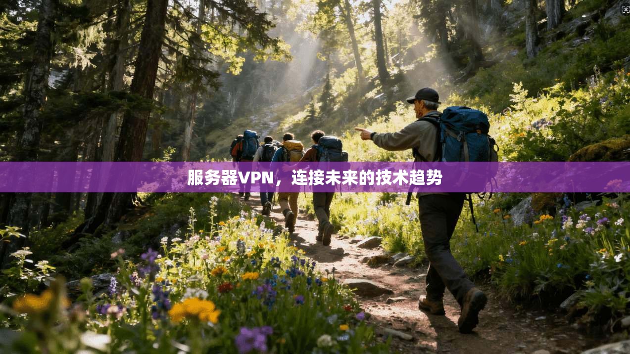 服务器VPN，连接未来的技术趋势