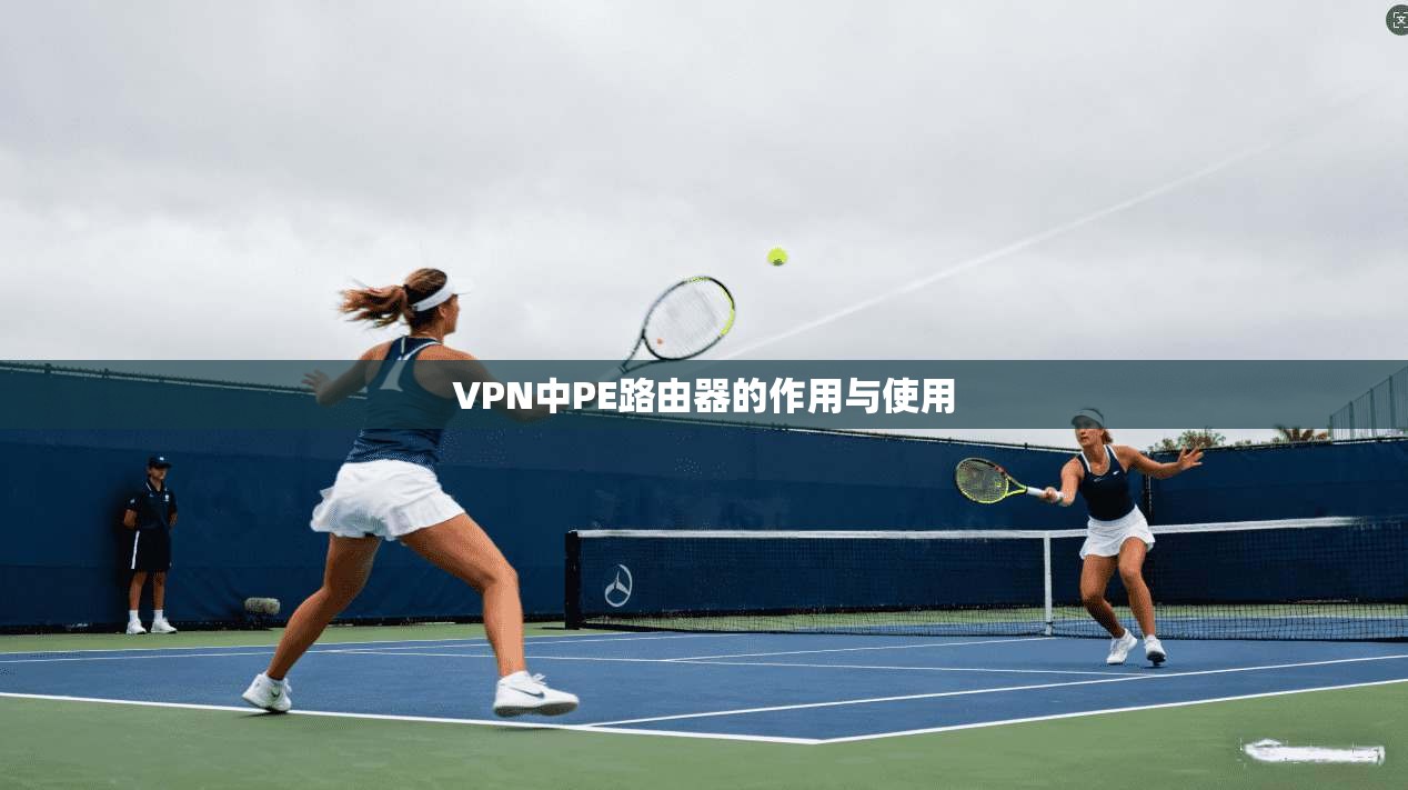VPN中PE路由器的作用与使用