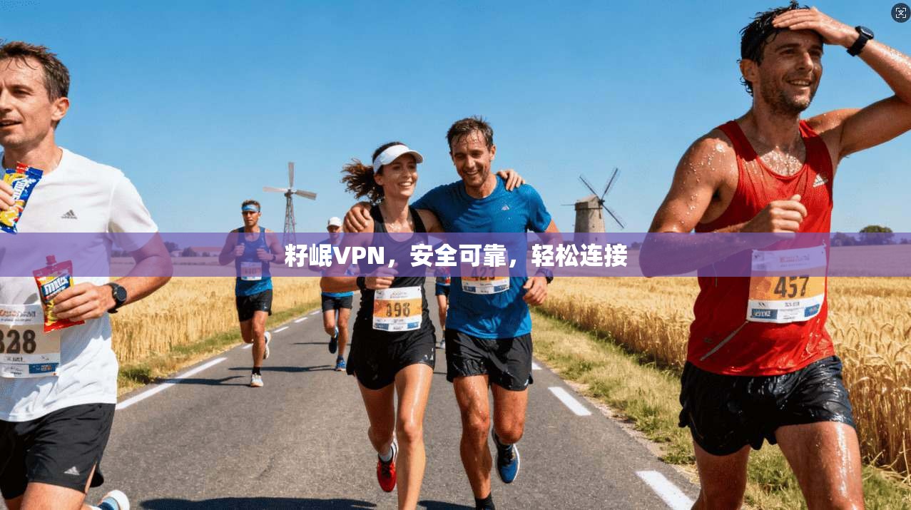 籽岷VPN，安全可靠，轻松连接