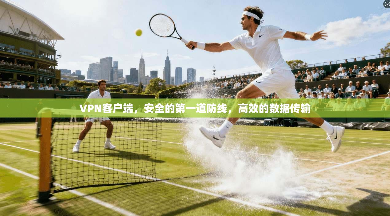 VPN客户端，安全的第一道防线，高效的数据传输