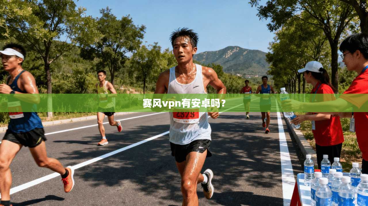 赛风vpn有安卓吗？
